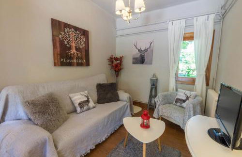 Apartaments Alta Muntanya - Foto 65