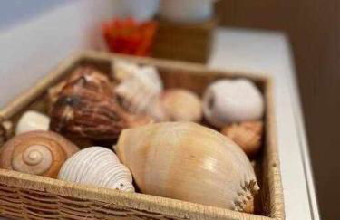 Directo a la playa con vistas del mar - Foto 31