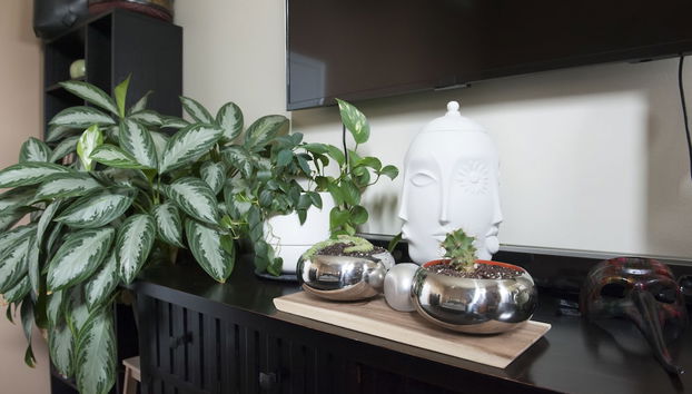 Chicago Townhome - Foto 2, Quarto