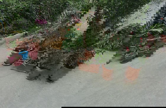 Carpe Diem Apartments By Athens Airport - Foto 70