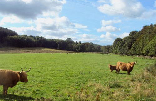 Myrtle Cottage - 28177 - Foto 23