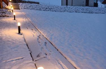 Lisia Norka - Foto 31