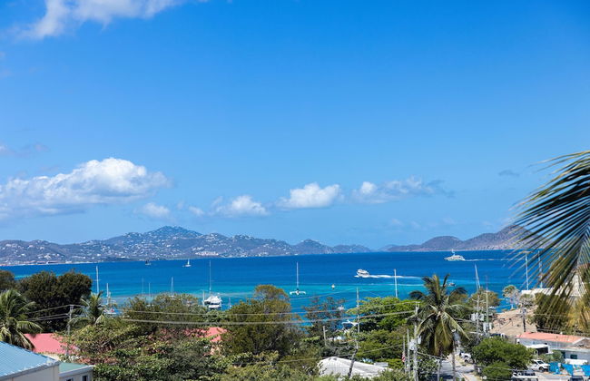 Dolphin Suites - Photo 15