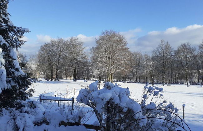 Haus Wiesenblick Comfortable Holiday Residence - Foto 14