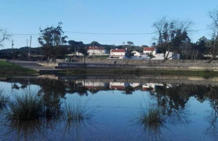 Montejunto Villas-Casa do Esquilo - Foto 8