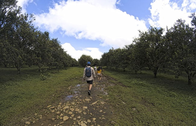 Oski Lodge - Foto 60