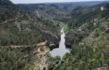 Casa Penafalcão - Foto 57