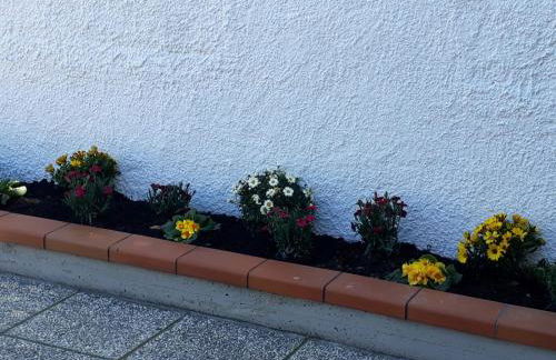 La casa di Giò - Photo 28