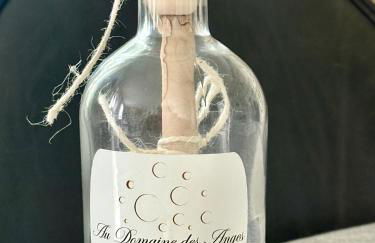 Au domaine des anges, 3 gîtes luxueux avec Jacuzzi privatif, sauna, mini-piscine, piscine extérieure chauffée en saison - Foto 45