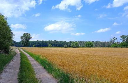 Dom Pod Złotym Bażantem - Foto 40