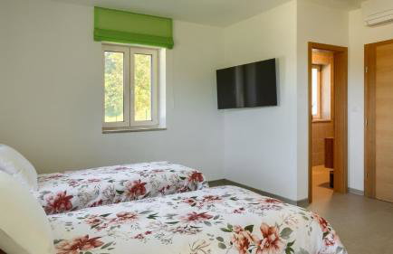 Rustic villa Kave with wellness in Groznjan - Foto 23