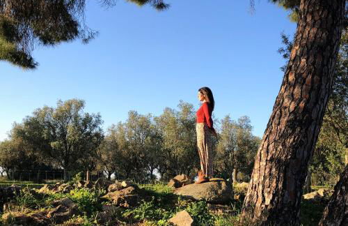 Casa de Campo, Quinta do Funchal - Foto 35