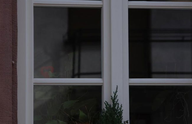 Gite Clos Angelique - Foto 37