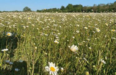 Large Stylish Luxury Cotswold Cottage - ideal for families, w/ EV charging - Foto 32