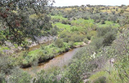 Agroturismo Xistos - Foto 17