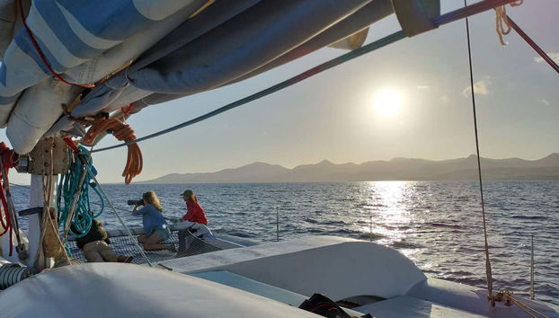 Whale & Dolphin Watching in Puerto Calero - Foto 3