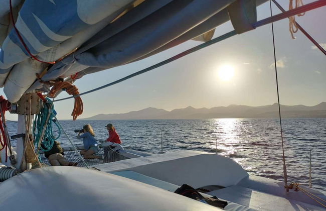 Whale & Dolphin Watching in Puerto Calero - Photo 3