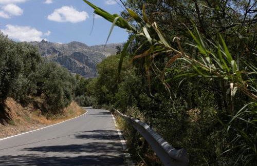 Cortijo el Chaparro - Foto 32