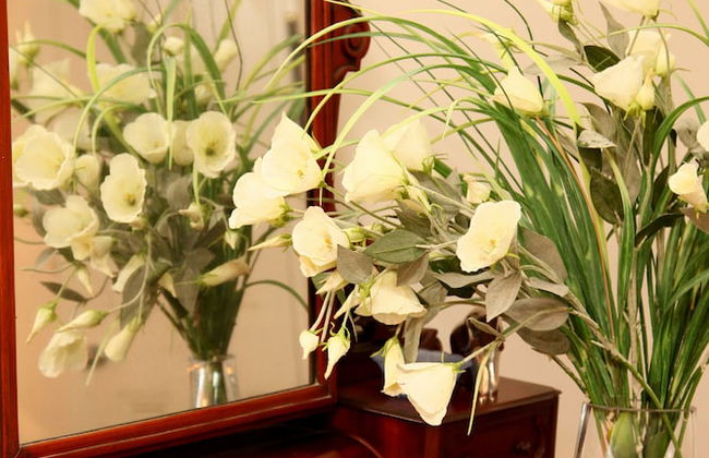 Apartments On The Park - Foto 21