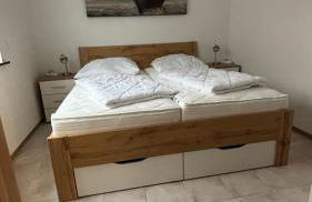 Muschel am Strand - Foto 7