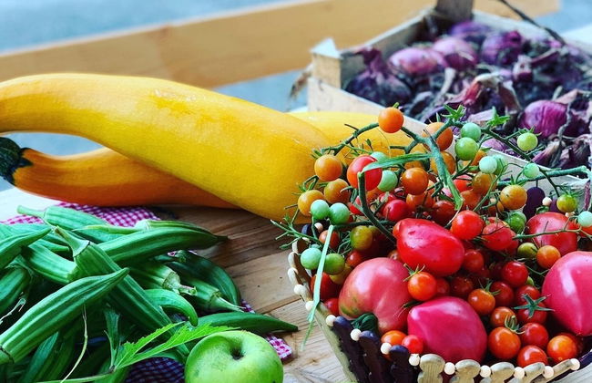 Stunning 6-bed Villa in Etoy - Foto 30