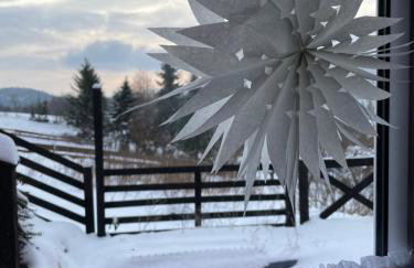 Wioska w Sowich Sokolec - Foto 68