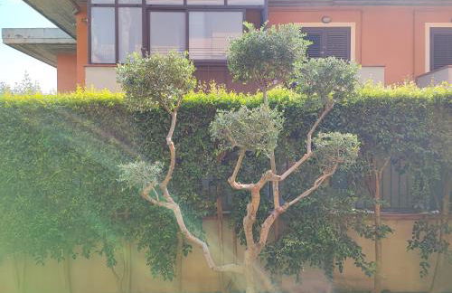 Maresole tra l'Etna e Taormina - Foto 51