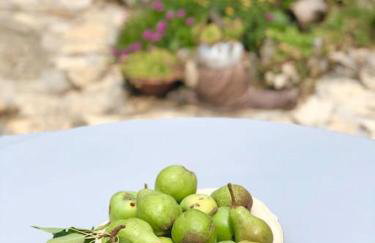 Peaceful house in nature nearby National Park Krka - Photo 44