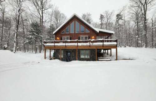 Blissful Bear - Foto 1