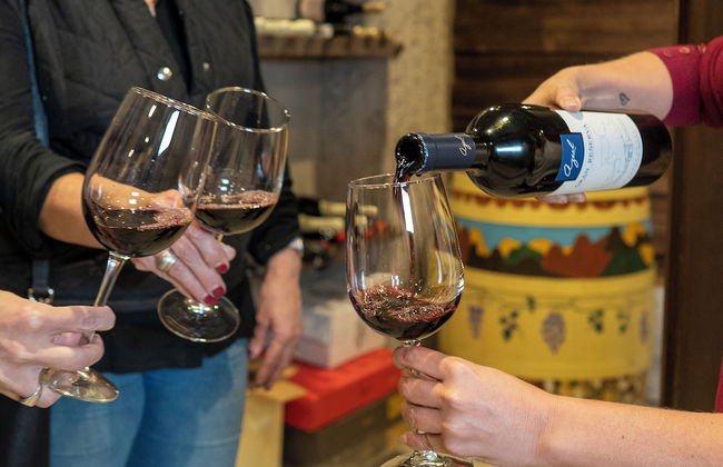 Ayres de Uco Lodge & Wine Lovers - Foto 10