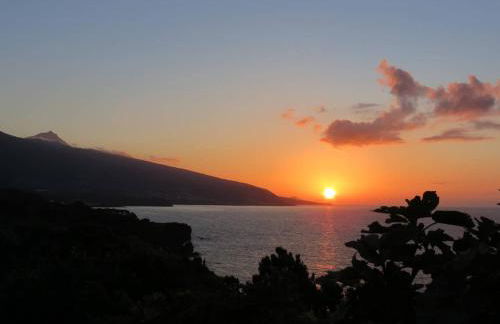 Casa Adega Alto do Passinho - Photo 25