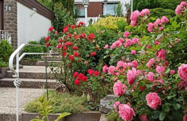 Apartments Gala, ruhige Lage, stadtnah - Foto 42