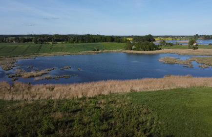 Pęglity jezioro - Foto 9