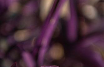 ONIRO Villas - Foto 42