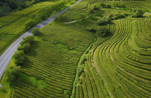 Esperança House 2 - Photo 30