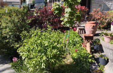 La gazza allegra - Foto 1