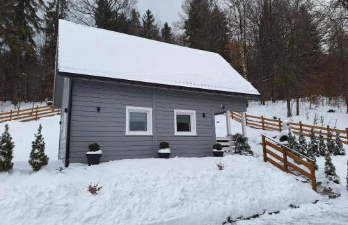 Domki u Sosny - Nowoczesne domki na wyłączność, spokojna okolica blisko lasu i szlaku, 1,2 km od centrum Brennej - Foto 61