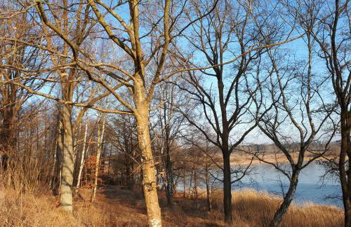 Łabądkowo - Foto 25