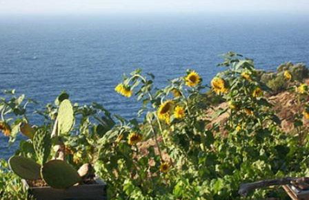 Niriides Studios - Foto 21