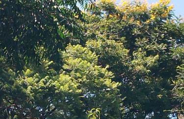 Kitnet Pousada da T - Foto 9