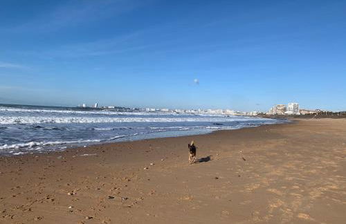 Appartement vue sur mer - Foto 5