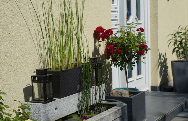 Ferienwohnung Ahrtalblick - Photo 40