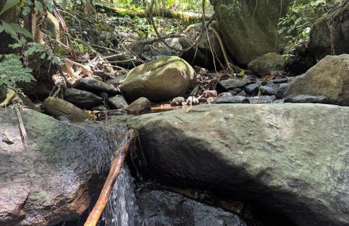 Chalé Bem-te-vi Vista espetacular da Serra da Mantiqueira - Foto 45