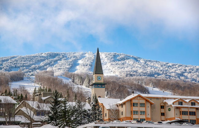 Long Trail House at Stratton Mountain Resort - Photo 25