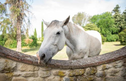 Appartamento Fattoria - Foto 27
