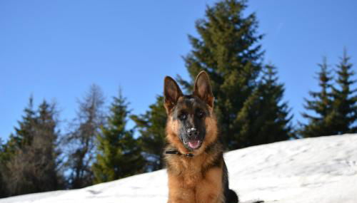 Agritur Scoiattolo - Foto 5