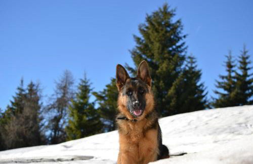 Agritur Scoiattolo - Foto 5