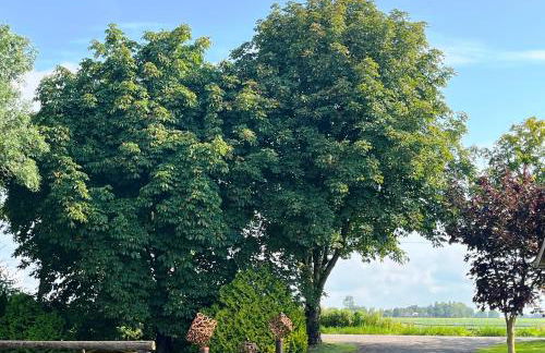 Ferienhof Reimers - Foto 9