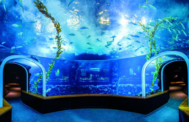 Aquarium Poema del Mar - Photo 9