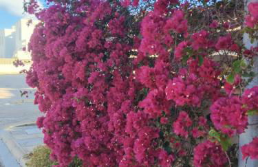 Casa Aigua Blanca Oliva - Photo 26